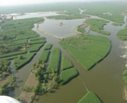 安新天气预报10天