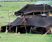 左贡天气预报40天