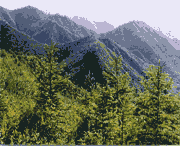 西和天气预报40天