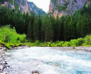 卓尼天气预报40天