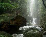 广水天气预报10天