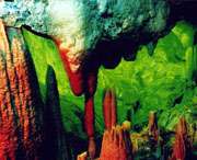 无为天气预报40天