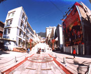 喜德天气预报10天